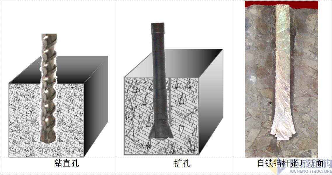利来w66官网(中国区)_利来集团
